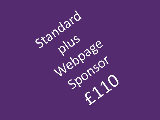 Standard Sponsor + Webpage